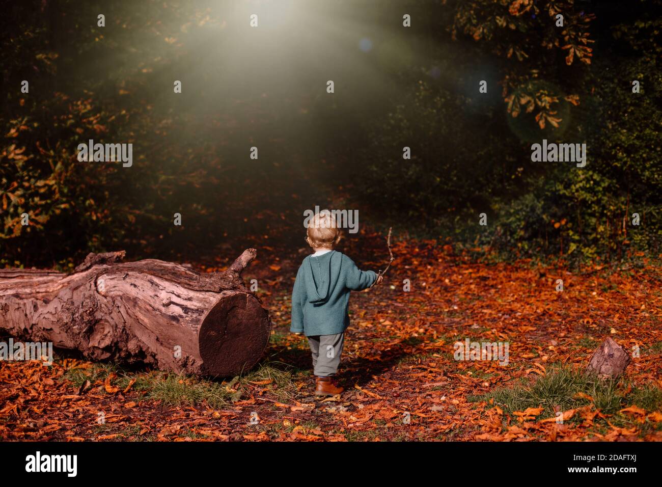 Toddler in the woods hi-res stock photography and images - Alamy
