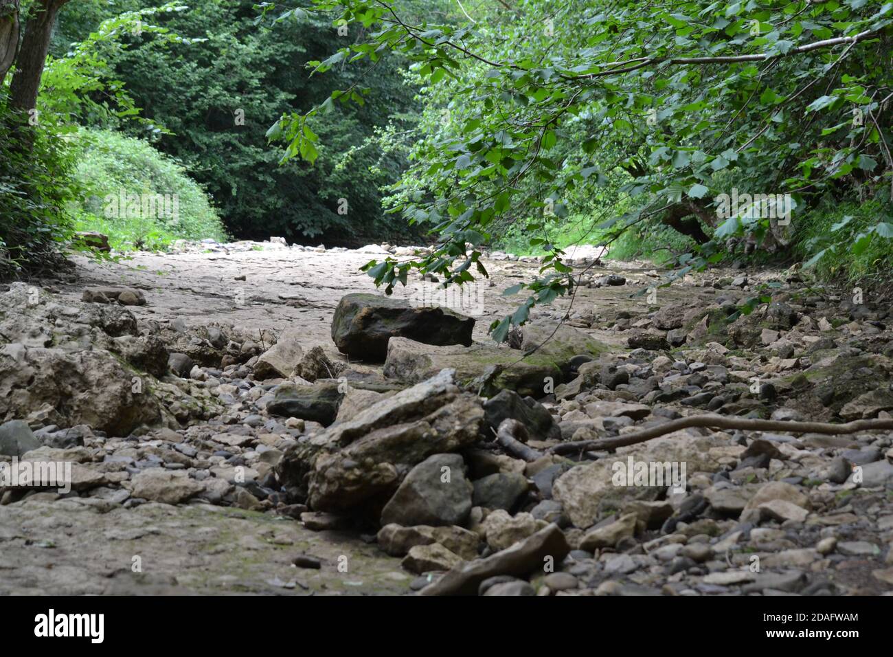 Hodge Beck - Dried Up Riverbed - Kirkbymoorside - UK Stock Photo
