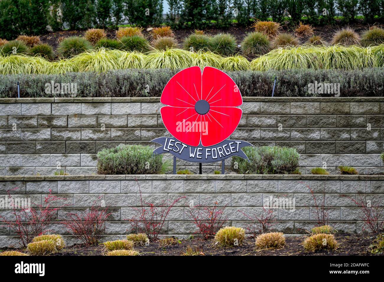 Lest we Forget, Rembrance Day, Poppy installation, Lonsdale Avenue, North Vancouver, British Columbia, Canada Stock Photo