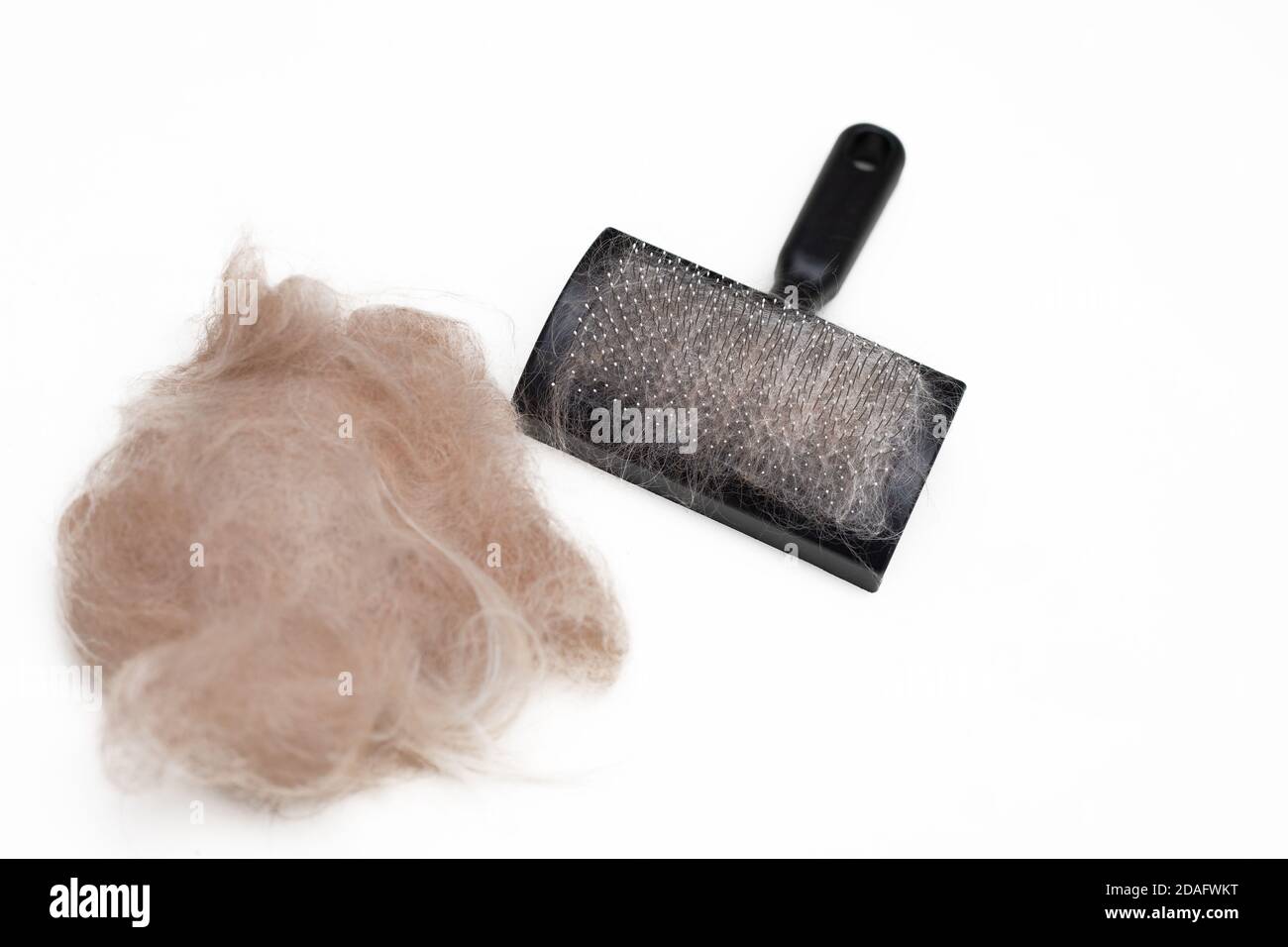 Photo of Brush for combing dogs and a pile of wool on a whitw background. The long coat of a red dog. Grooming services. Selective focus. Stock Photo