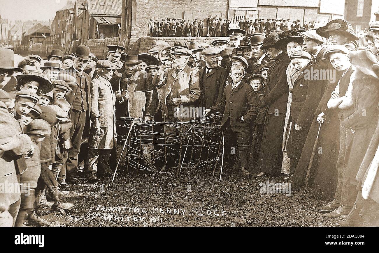 An historic photograph showing the 1911 annual ceremony of planting the Penny Hedge or Horngarth in the river Esk at Whitby, North Yorkshire, UK. On completion of the hedge the man with the horn blows 'out on ye' (Get Out) challenging the tide to destroy the penny hedge within three tides, in line with a local legend. The custom takes place at Abraham's Bosom  on the eve of Ascension Day (40th day after Easter Sunday) , in the mud on the east bank of the River Esk . The warehouses in the background are no more and the traditional large crowd of onlookers from every school no longer visit. Stock Photo