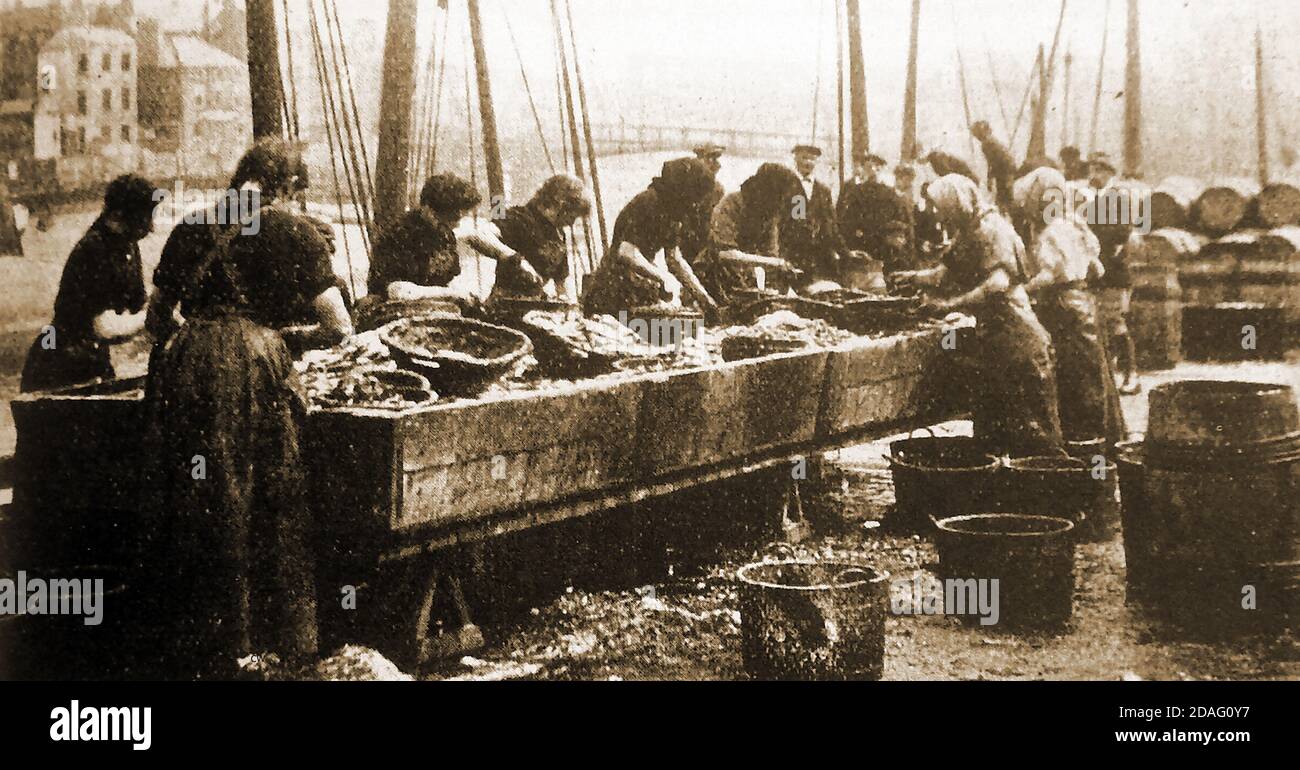 Itinerant Scottish herring girls, 'gipping' or gutting herrings ready for packing in barrels at Whitby, North Yorkshire circa 1940s. These women would follows the fishing boats around the shores of  Britain,ready to carry out their work as the herrings were unloaded at various ports when the boats came in.. Stock Photo