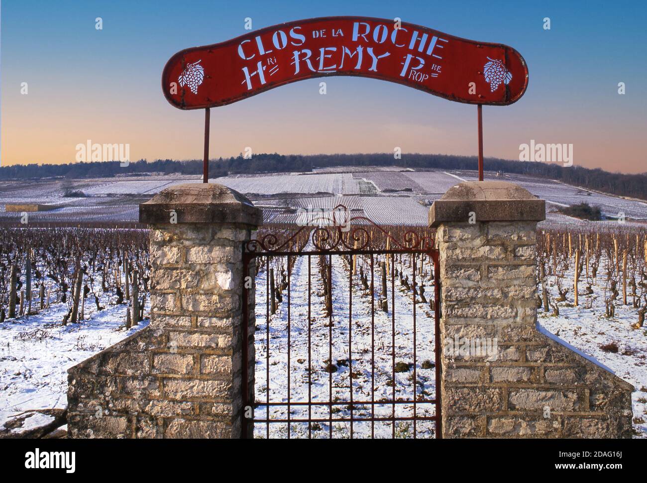 VINEYARD WINTER BURGUNDY snow rustic entrance gate and sign to Henri Remy Grand Cru Clos de la Roche vineyard, Morey-St-Denis, Côte d'Or, France. Stock Photo
