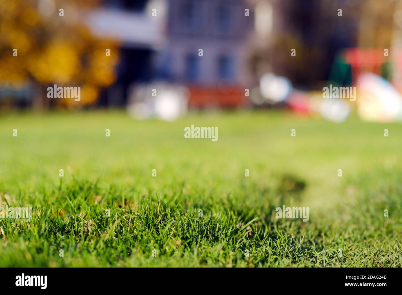 Background, blur, out of focus, bokeh. Cartoon colorful children's Playground on a green background. The background of the garden. Stock Photo