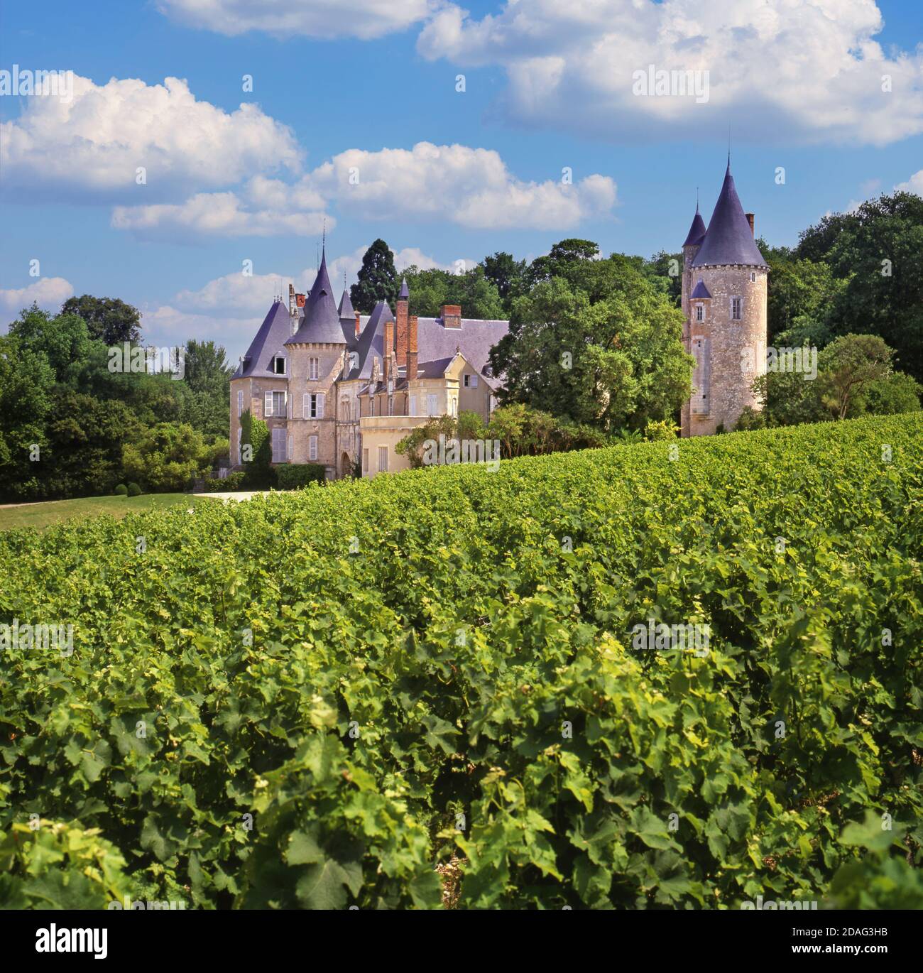 Château de Tracy, with Sauvignon Blanc vineyards in foreground Tracy-sur-Loire, Pouilly-Fumé, Nièvre, France. Stock Photo