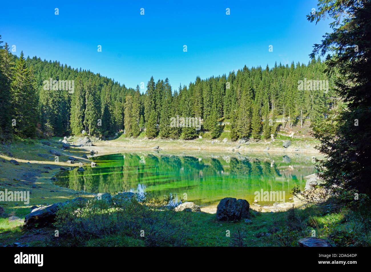 Emerald grre water on Lago di Carezza Stock Photo