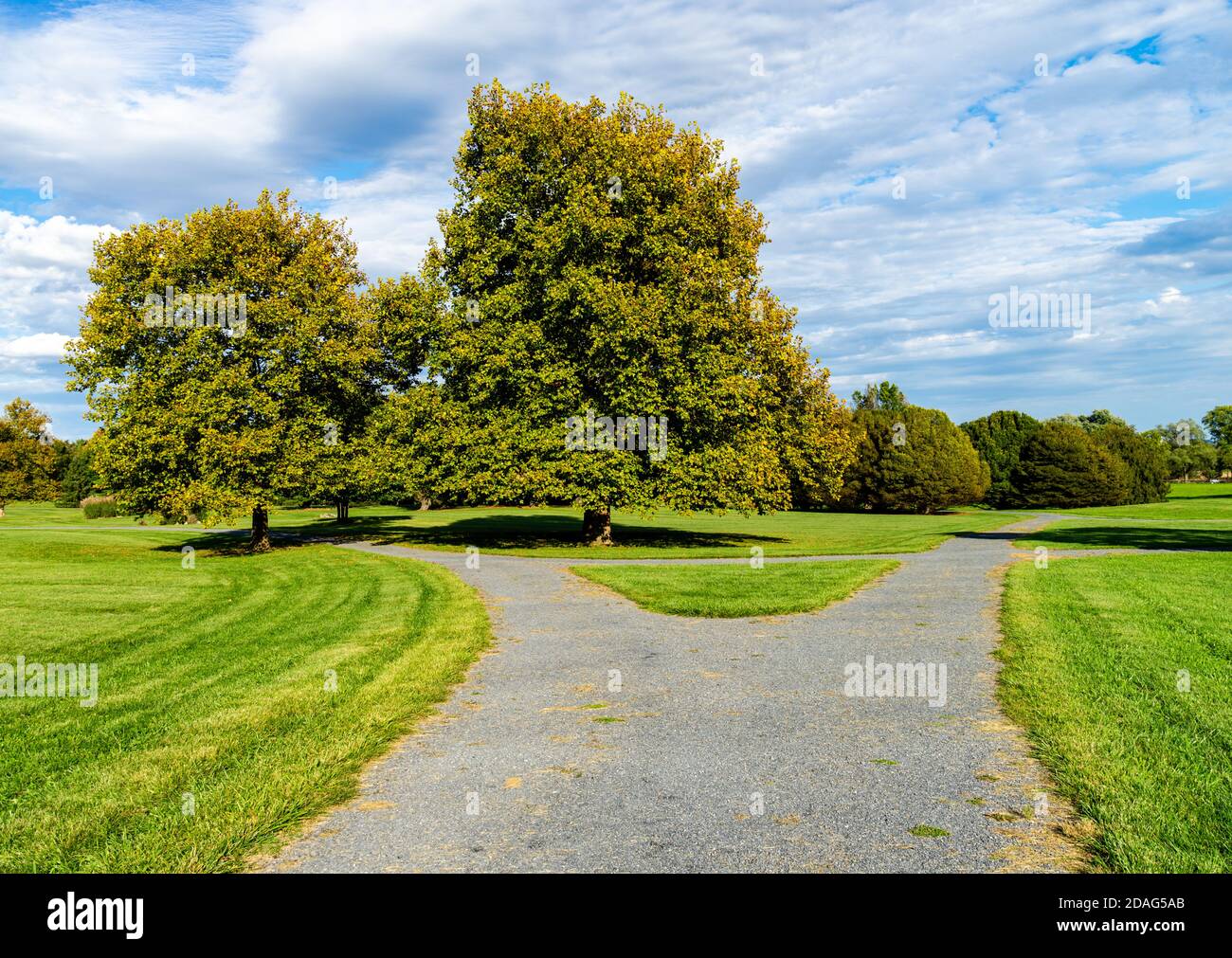 Walking path in a park splits into two directions Stock Photo
