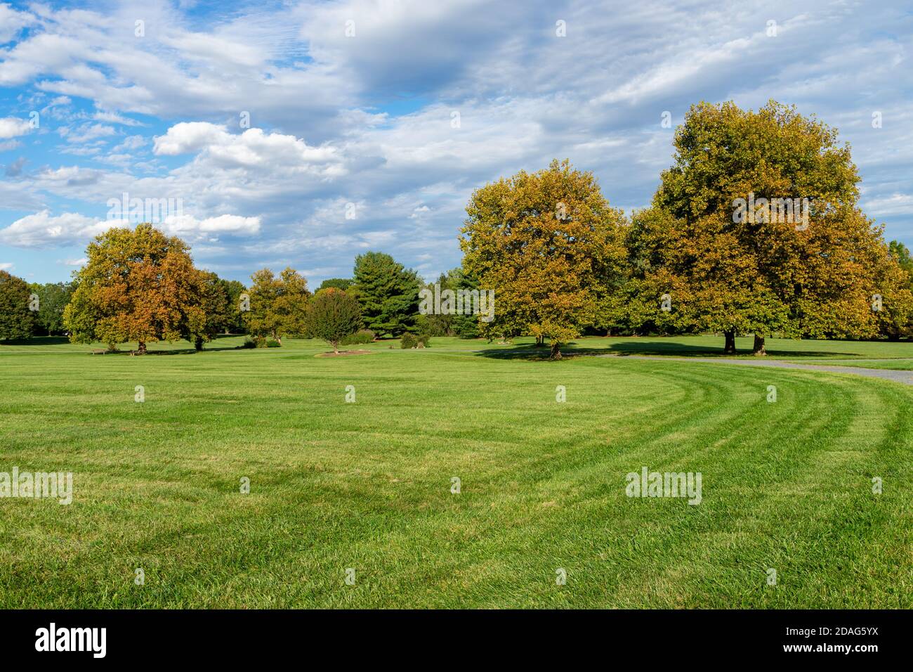 Large grass area in a park with dramatic sky Stock Photo