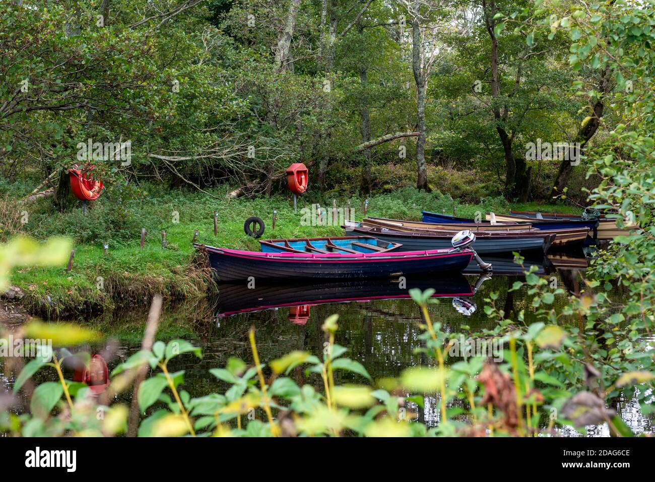 Fishing boats on a lake inlet surrounded by lush greenery in Killarney National Park, County Kerry, Ireland, Europe Stock Photo