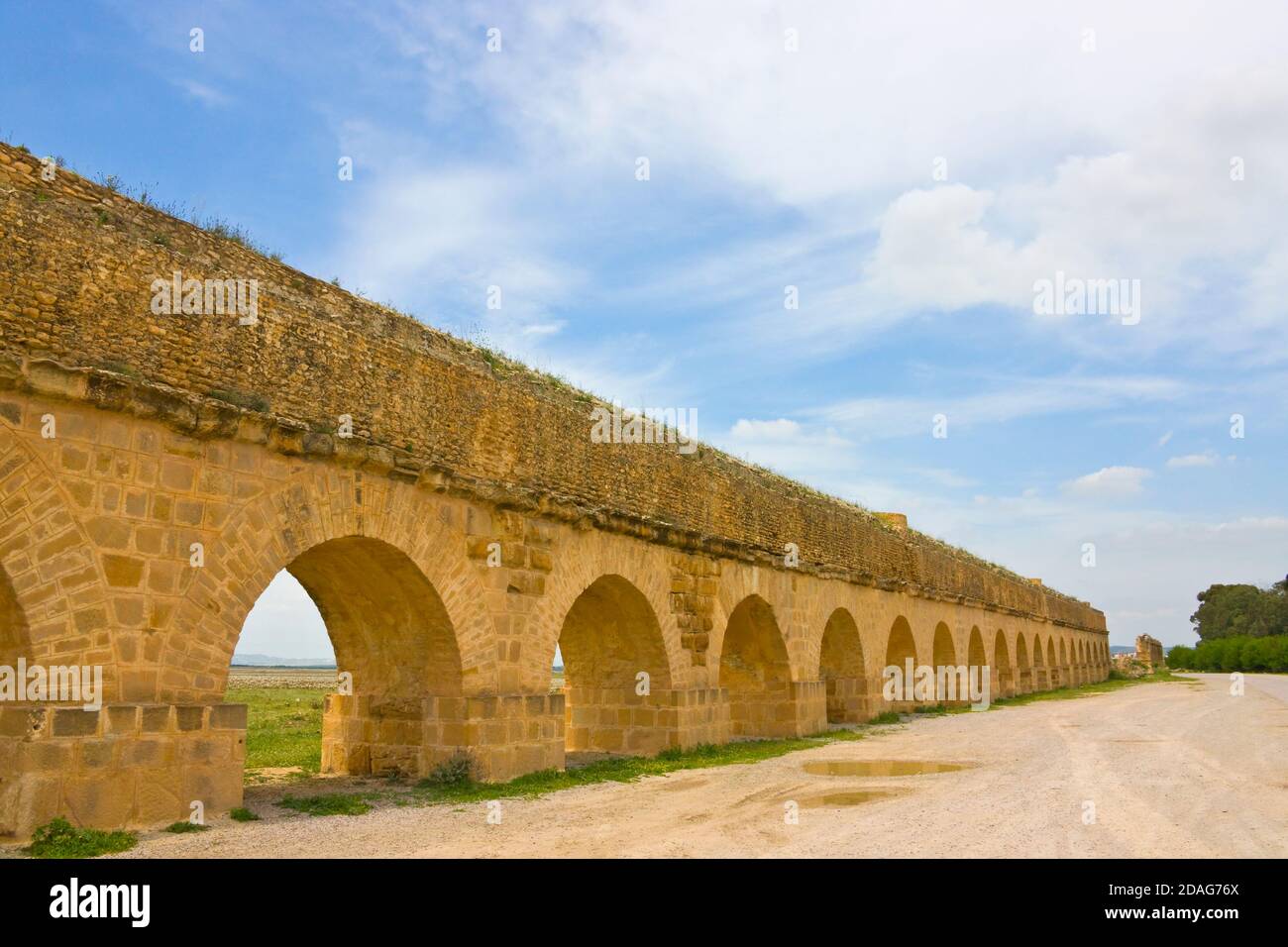 Ancient ruins of Aqueduct for irrigation, near Tunis, Tunisia Stock Photo