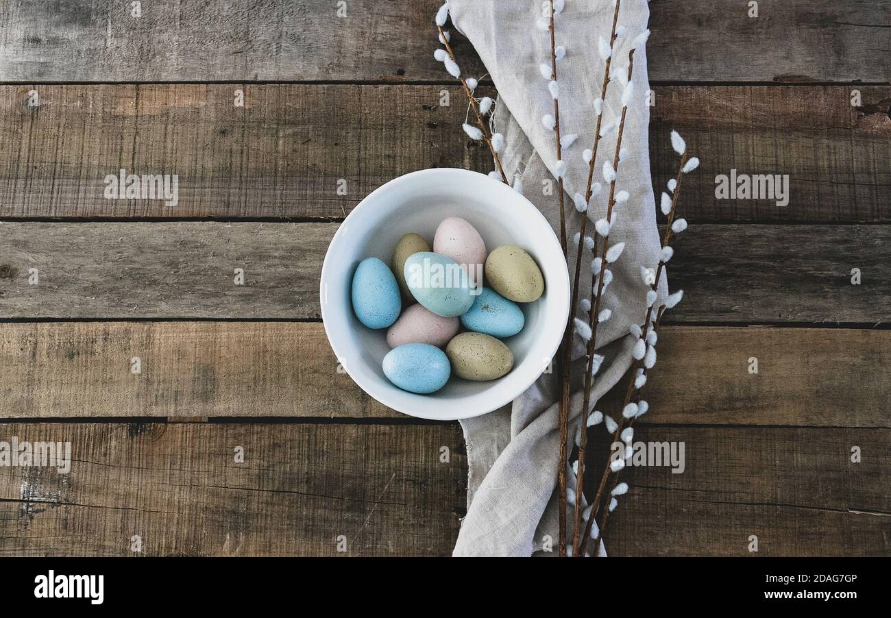 the female reproductive cell in animals and plants; an ovum Stock Photo