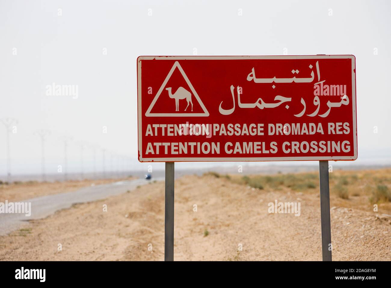 Sign of camel crossing in the desert, Tamerza, Tunisia Stock Photo