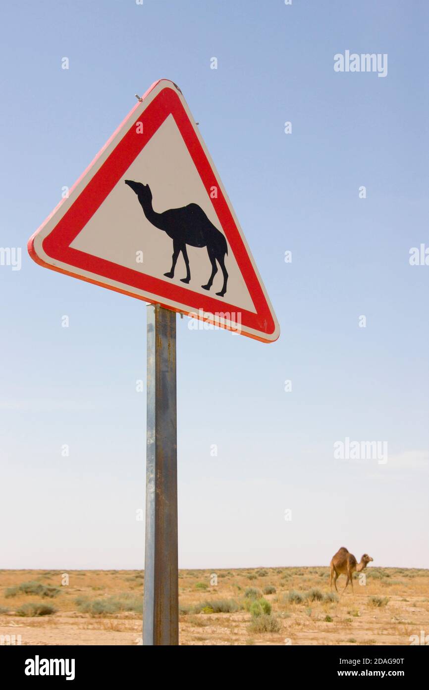 Sign of camel crossing in the desert, Tamerza, Tunisia Stock Photo