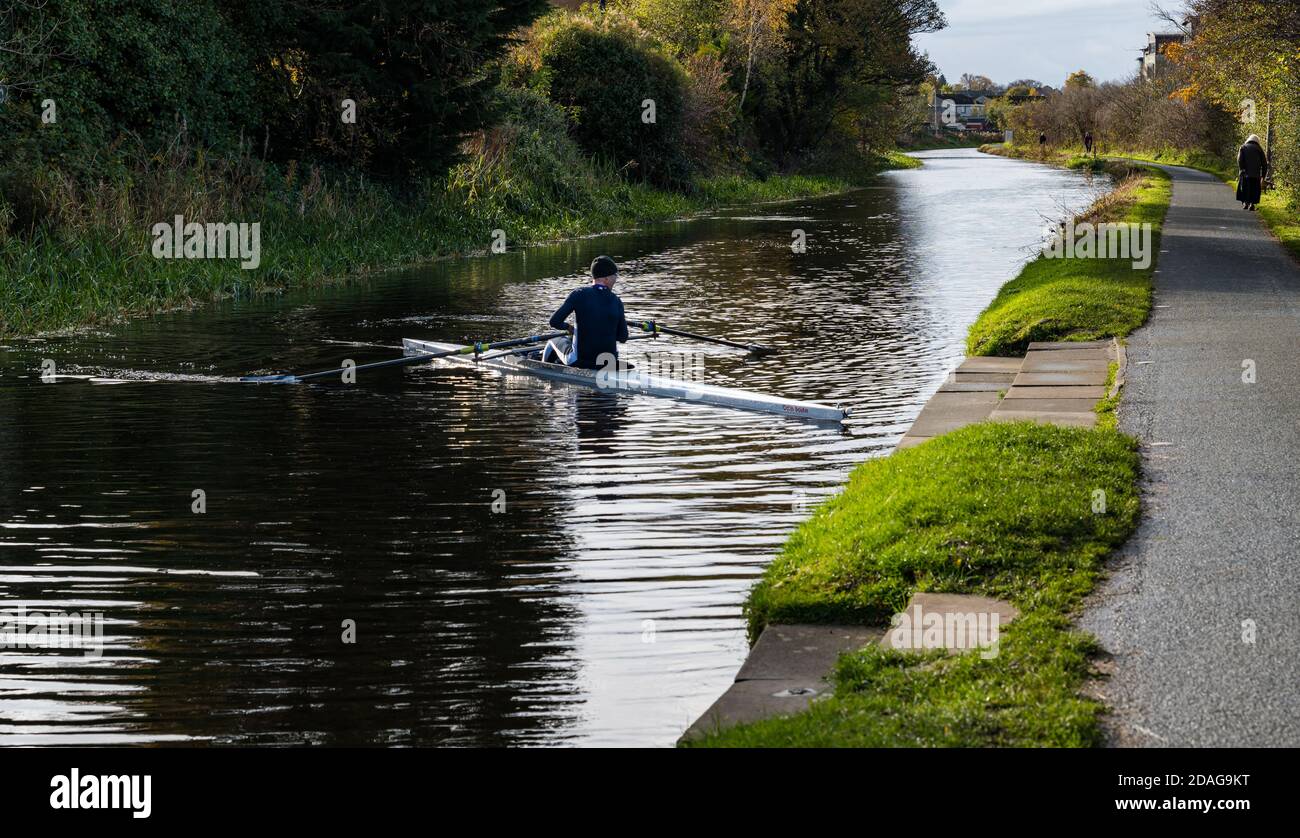 Man rowing single skull on Union Canal, Edinburgh, Scotland, UK Stock Photo