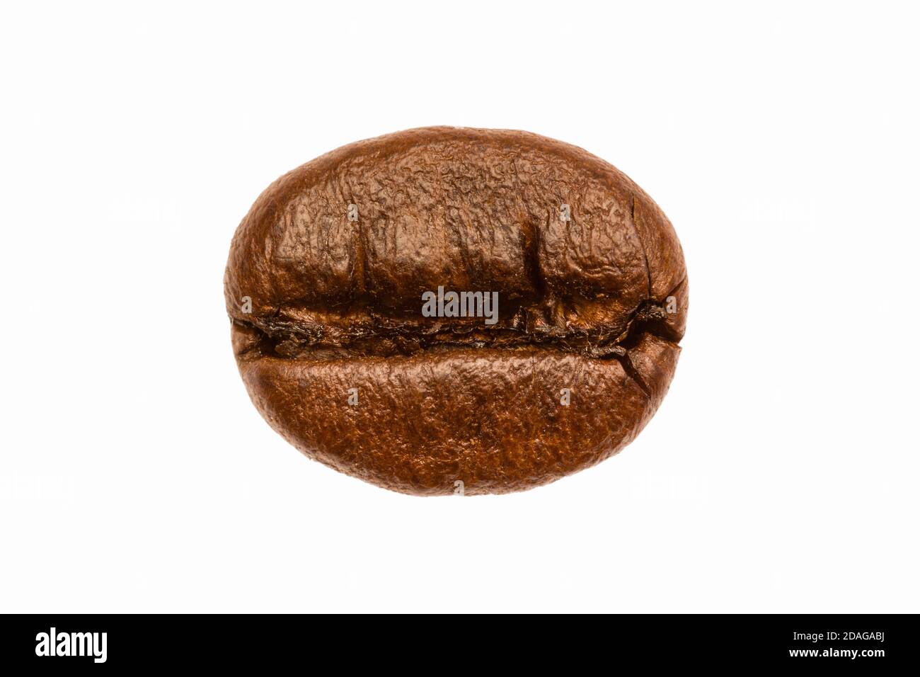 A single roasted coffee bean isolated before a white background Stock Photo