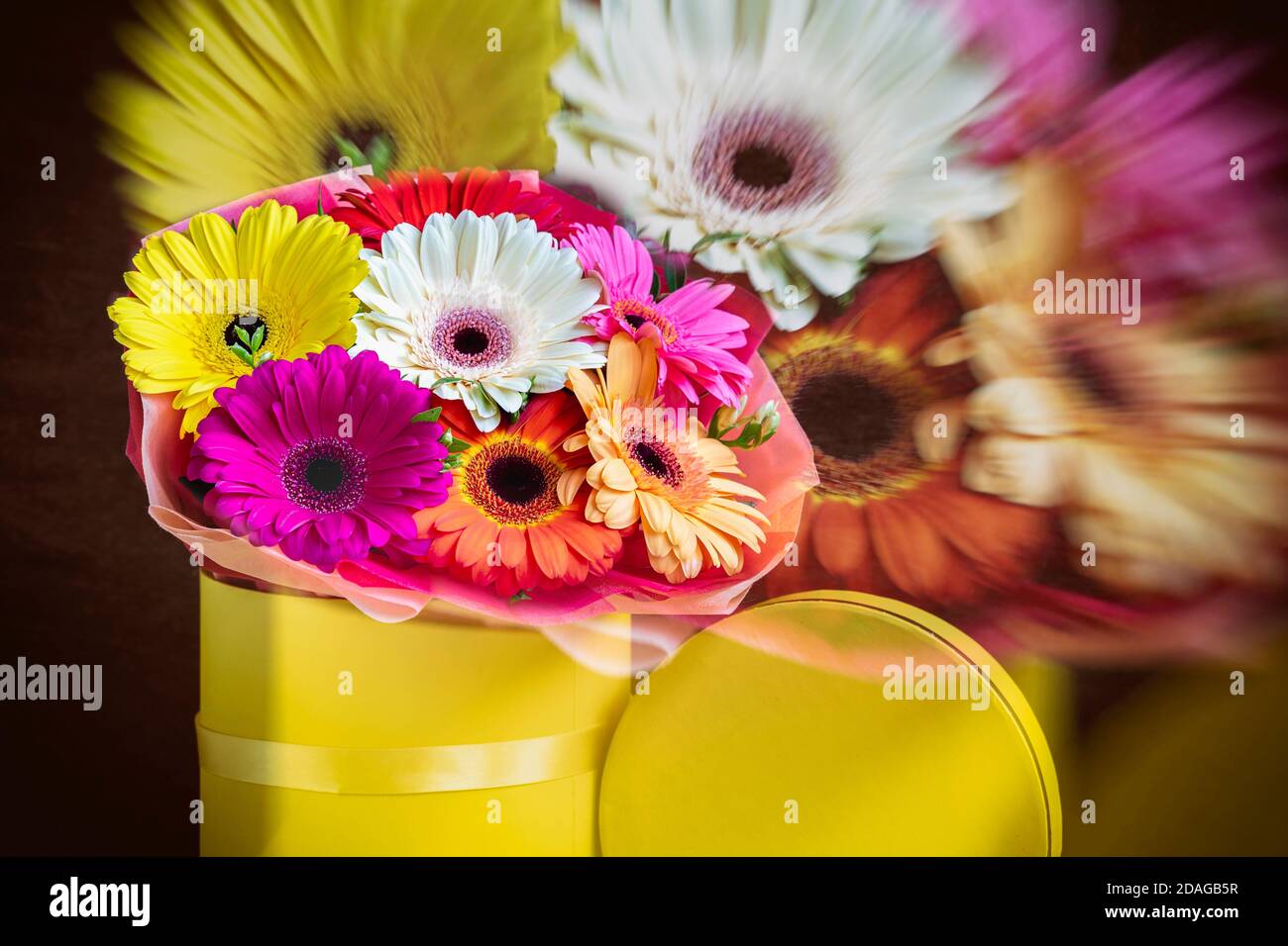 Blurred floral background, double exposure, colorful multicolored gerbera flowers in yellow box. Concept of holidays and gifts Stock Photo