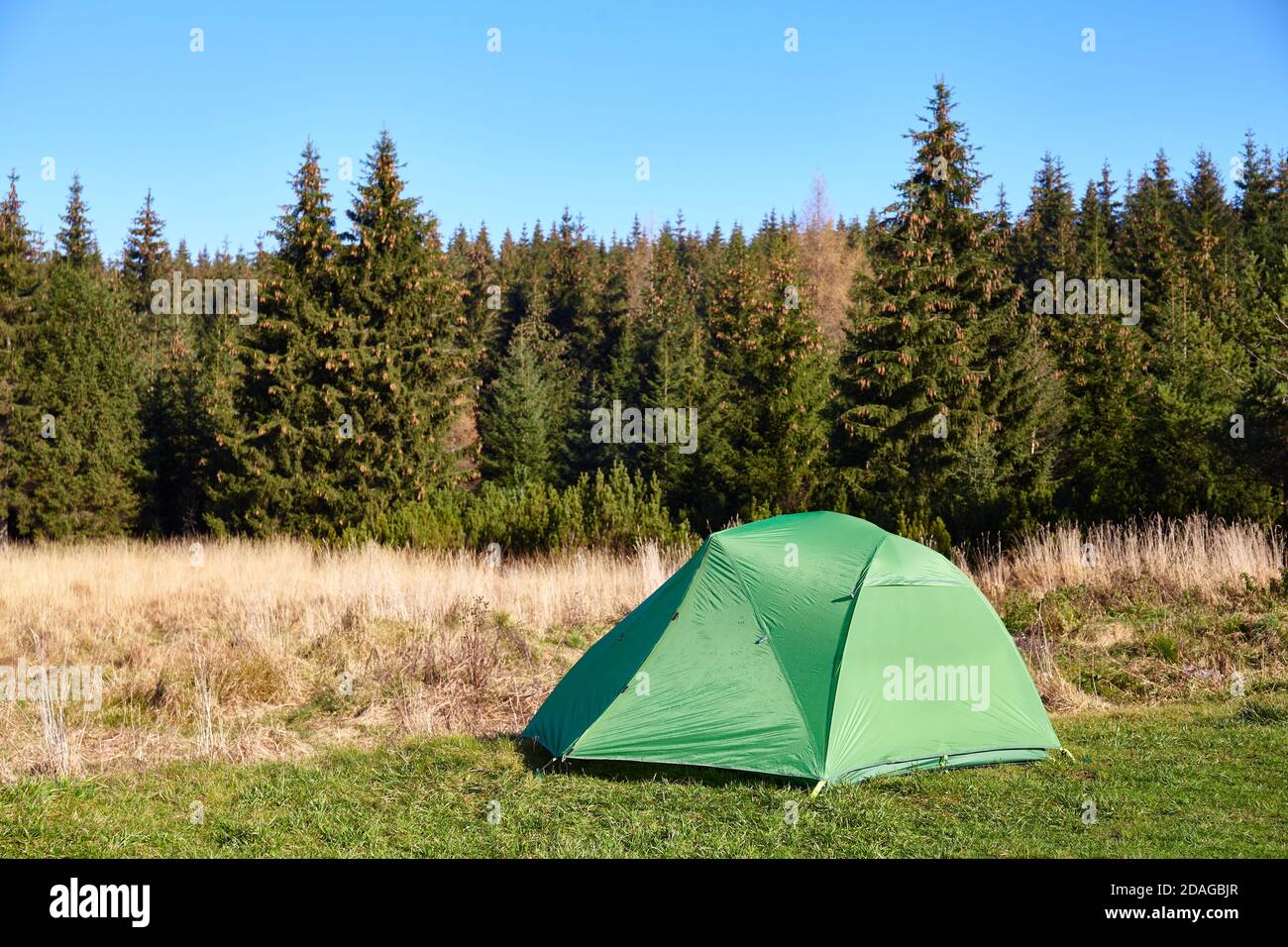 Green tent on a meadow by the edge of a mountain forest Stock Photo - Alamy