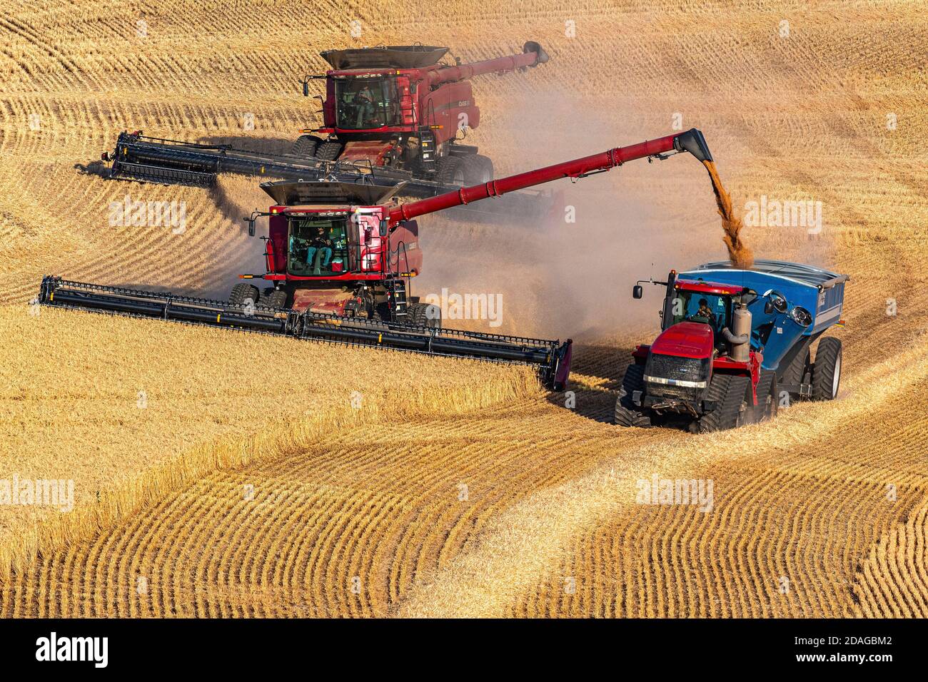 CaseIH combine offloading grain to Kinze grain cart pulled by a ...