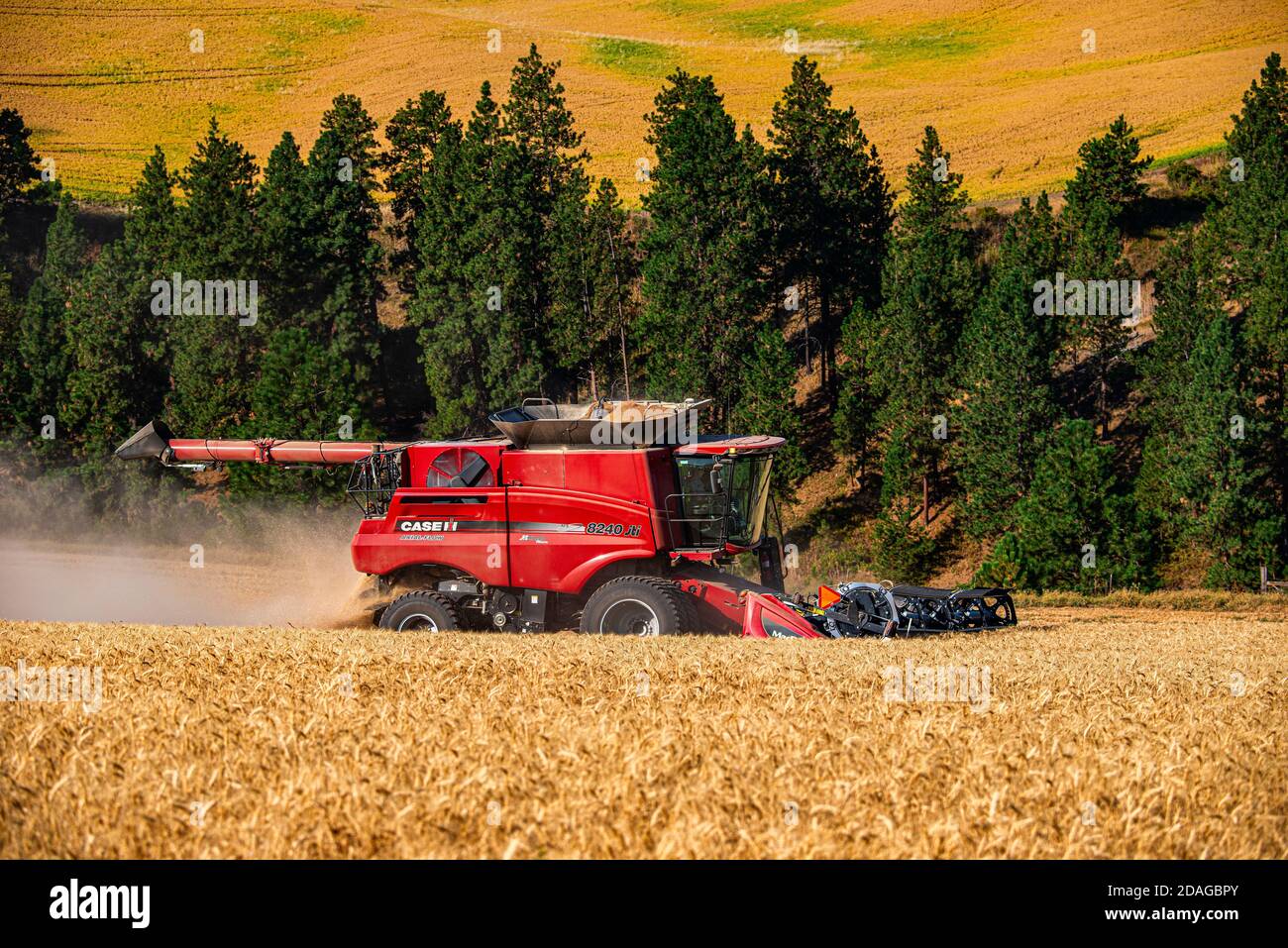 CaseIH combine harvests wheat on the hills of the Palouse Region of Eastern Washington Stock Photo