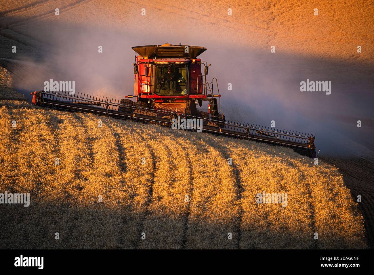CaseIH combine harvests wheat on the hills of the Palouse Region of Eastern Washington Stock Photo