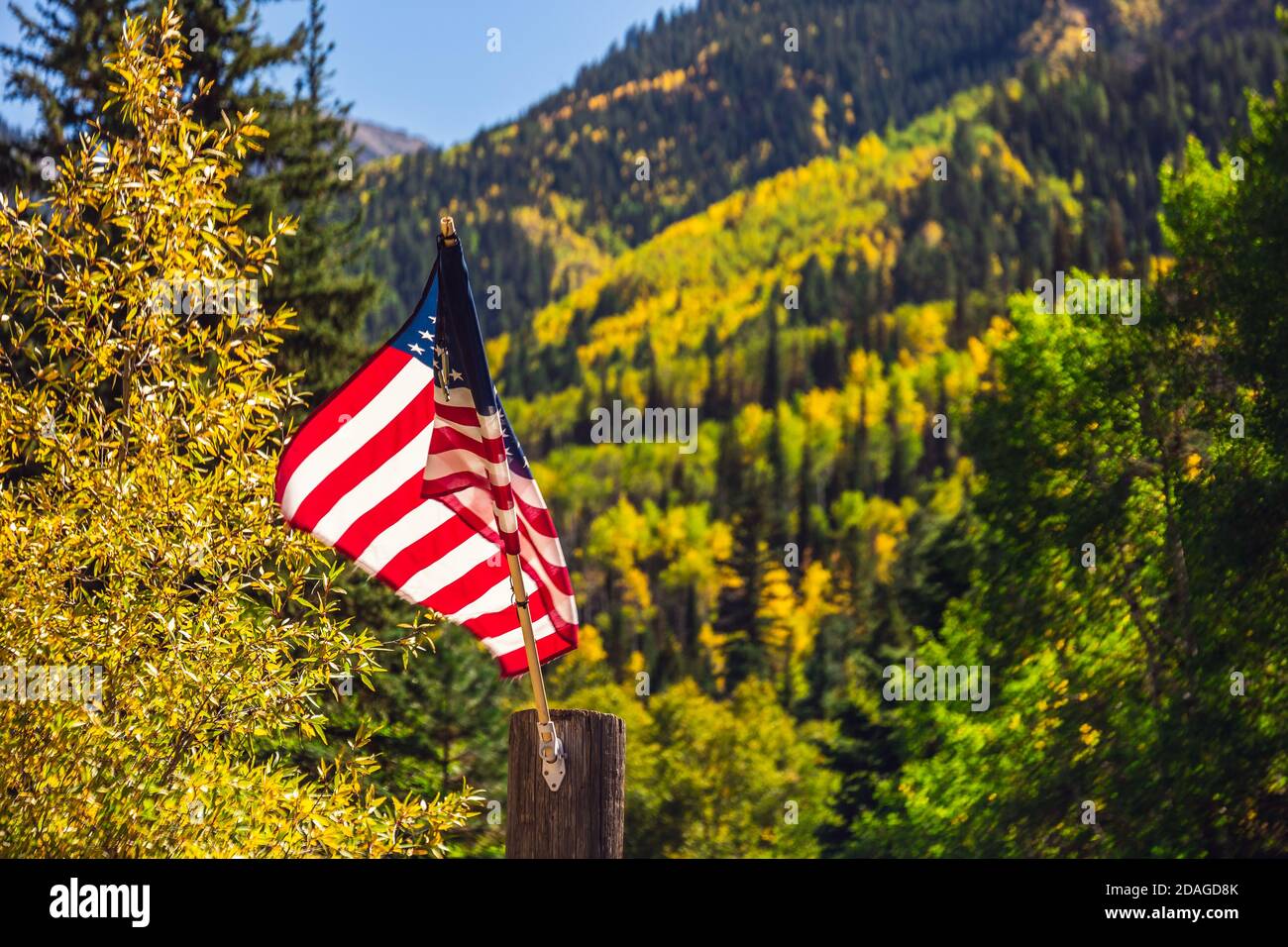 American flag with beautiful yellow autumn aspen tree leaves at the background. Taken in Black Hawk city turned into gambling destination of Colorado Stock Photo
