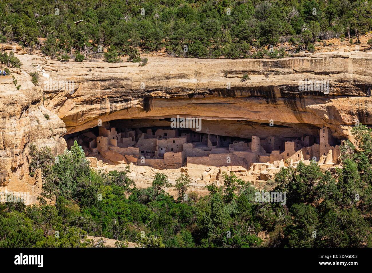 Cliff Palace ruins at Mesa Verde National Park, USA Stock Photo - Alamy