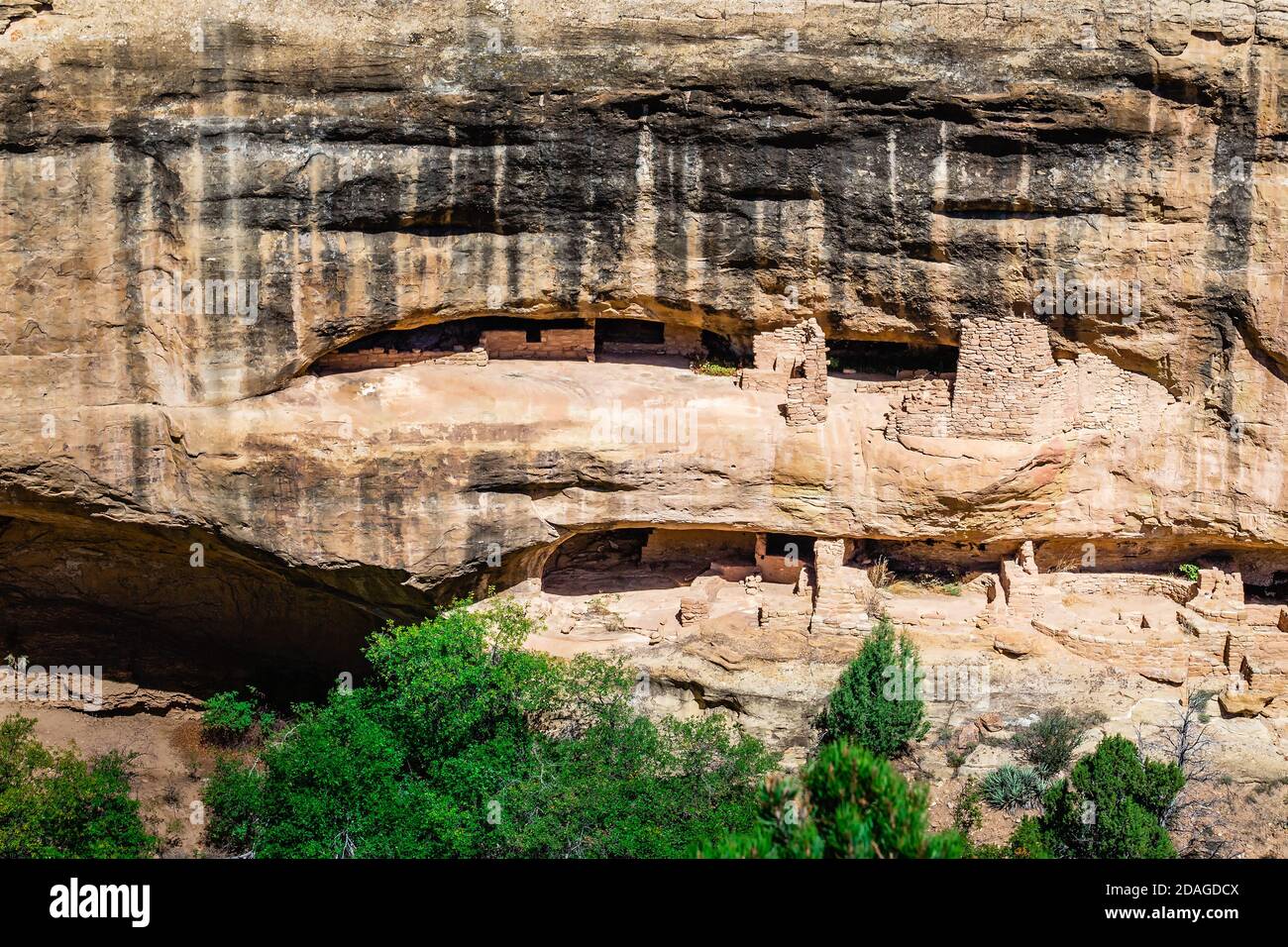 Cliff Palace ruins at Mesa Verde National Park, USA Stock Photo - Alamy