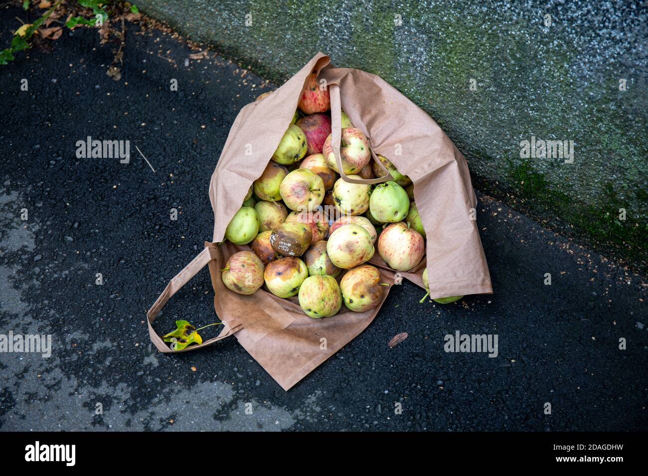 Rotten apples in a paper bag left on pavement Stock Photo