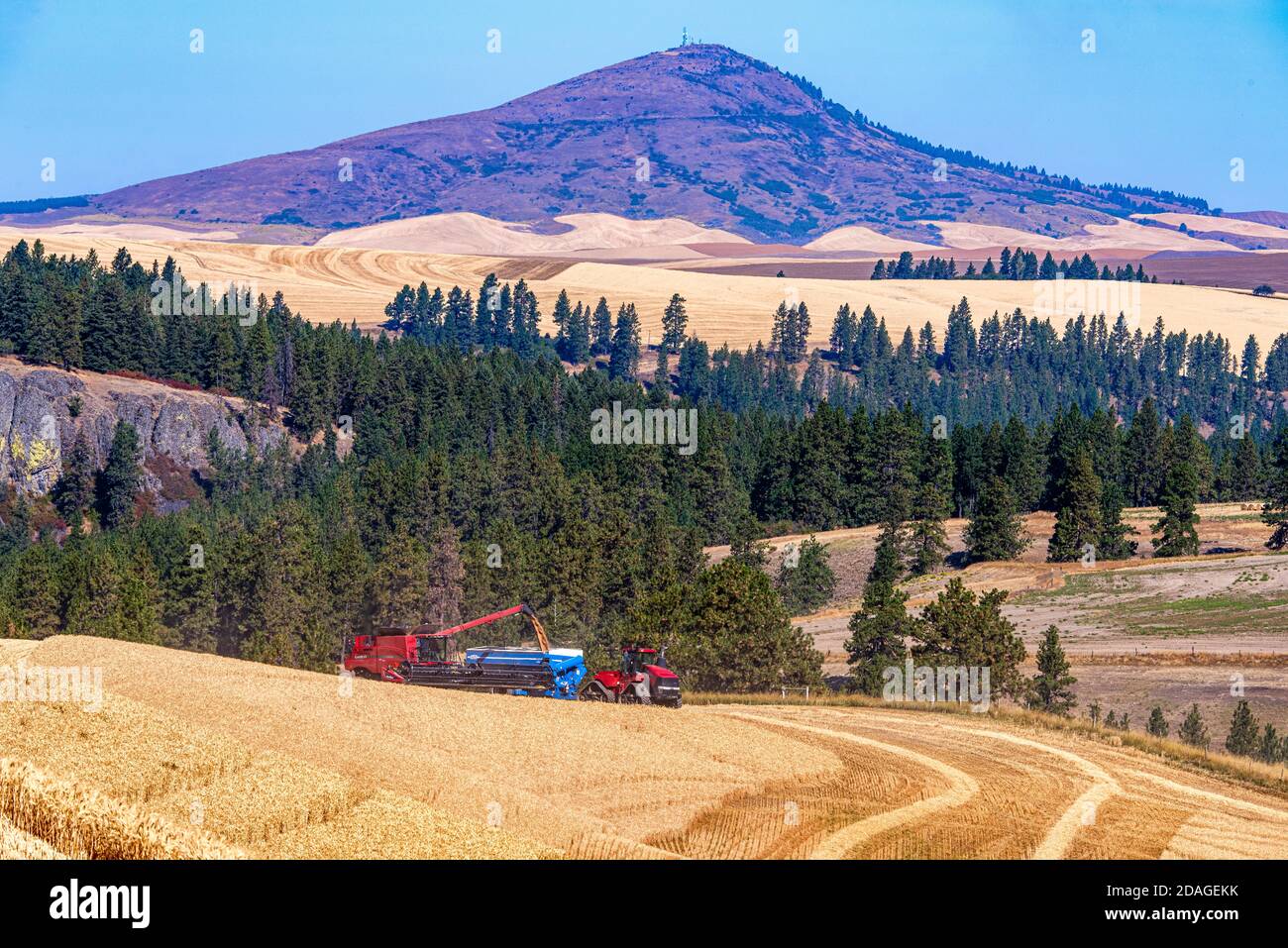 Case IH combine and quadtrac tractor pulling a grain cart during wheat harvest with Steptoe Butte in the background in the Palouse area of Washington Stock Photo
