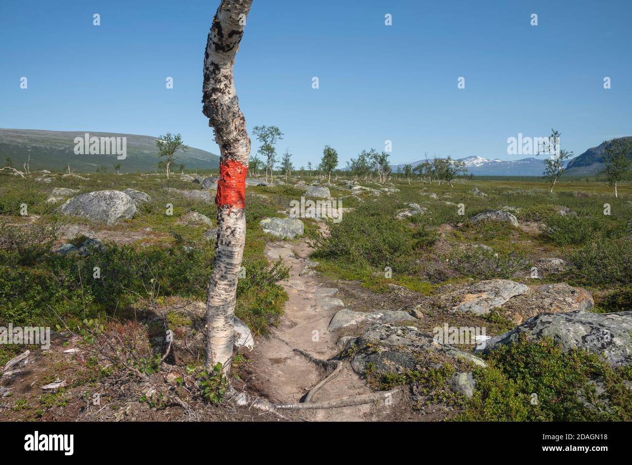 Red painted trail marker along Padjelantaleden Trail, Lapland, Sweden Stock Photo