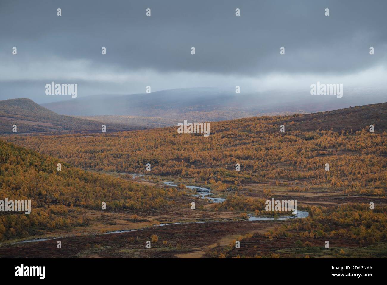 Looking over autumn forest across river valley along Kungsleden Trail, Lapland, Sweden Stock Photo