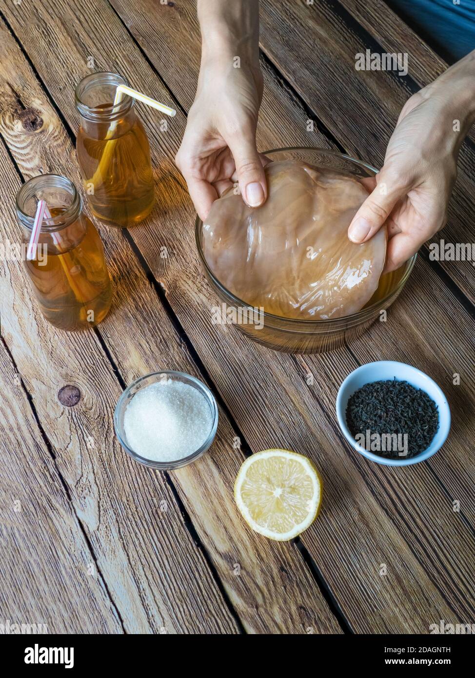 Symbrotic Tea Symbiotic bacteria hi-res stock photography and images - Alamy