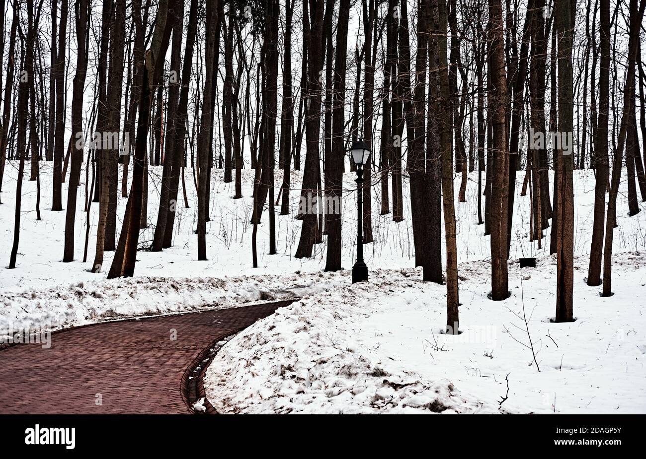Pathway Winding Through Snowy Winter Scene Stock Photo - Alamy
