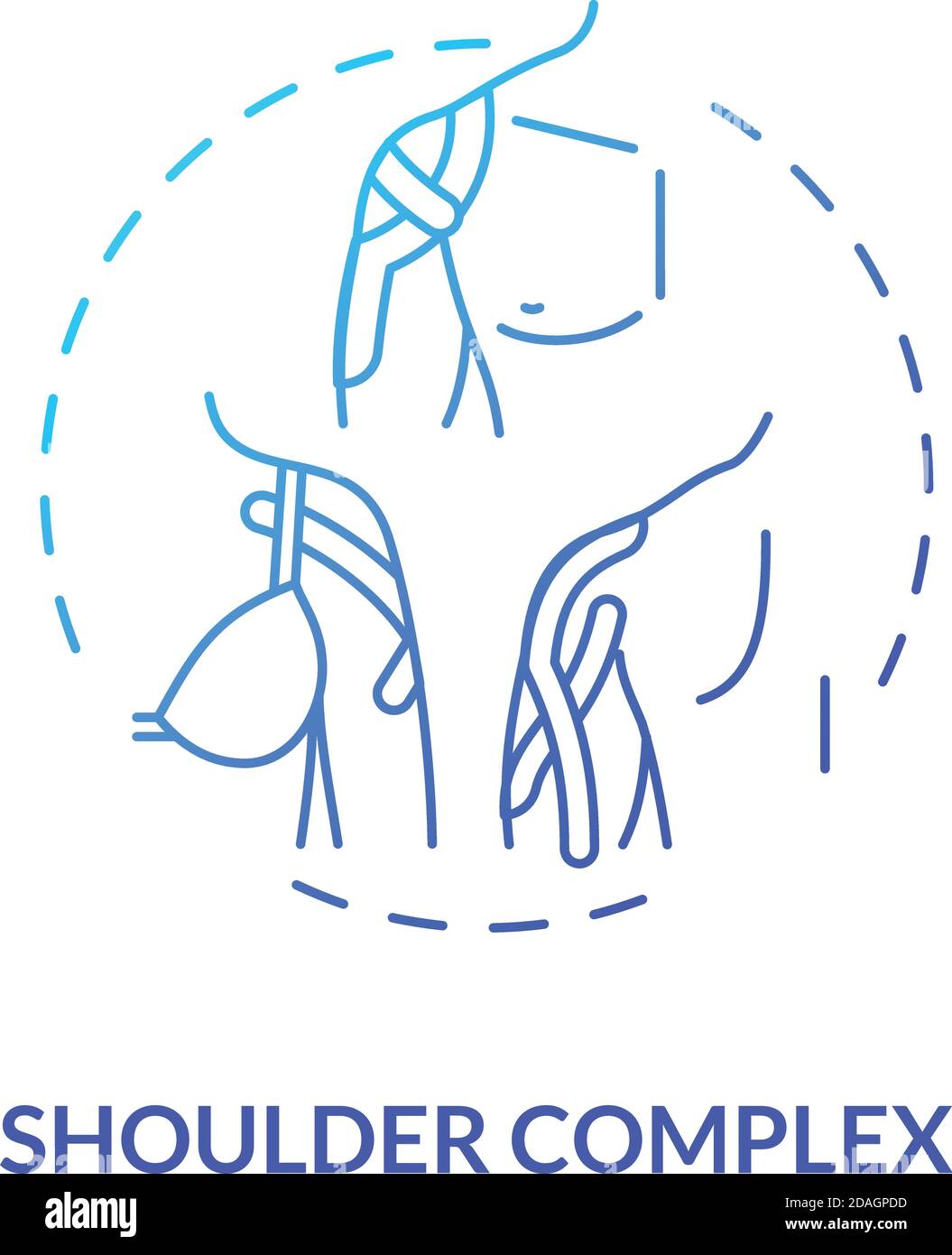 Shoulder complex blue gradient concept icon Stock Vector Image & Art ...