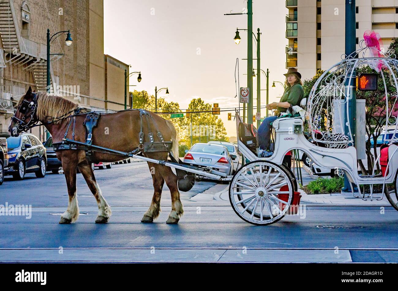 A horse-drawn carriage carries tourists down Main Street, Sept. 12, 2015, in Memphis, Tennessee. The street features 1.8 miles of restaurants, nightcl Stock Photo