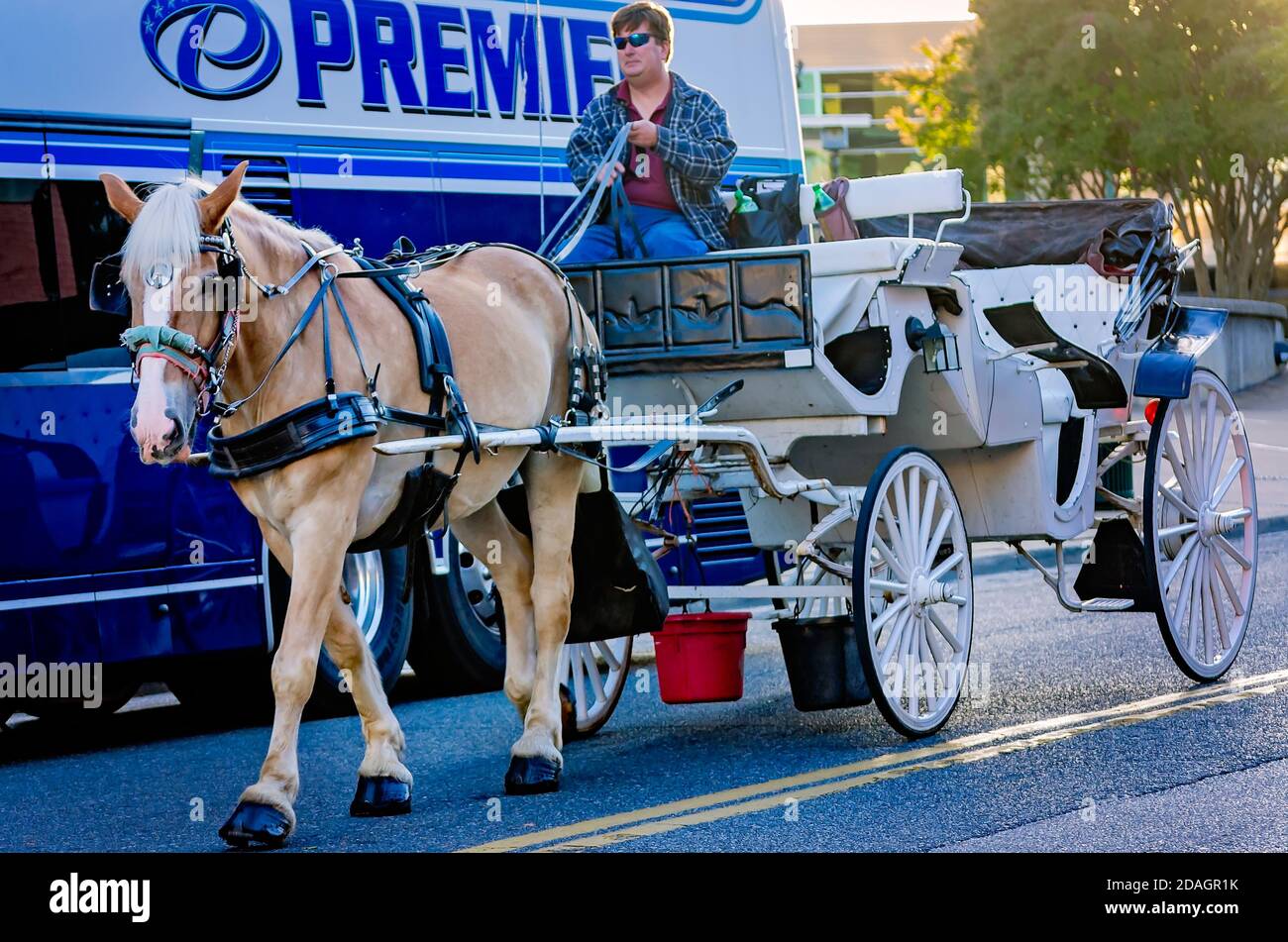 horse and carriage rental memphis tn