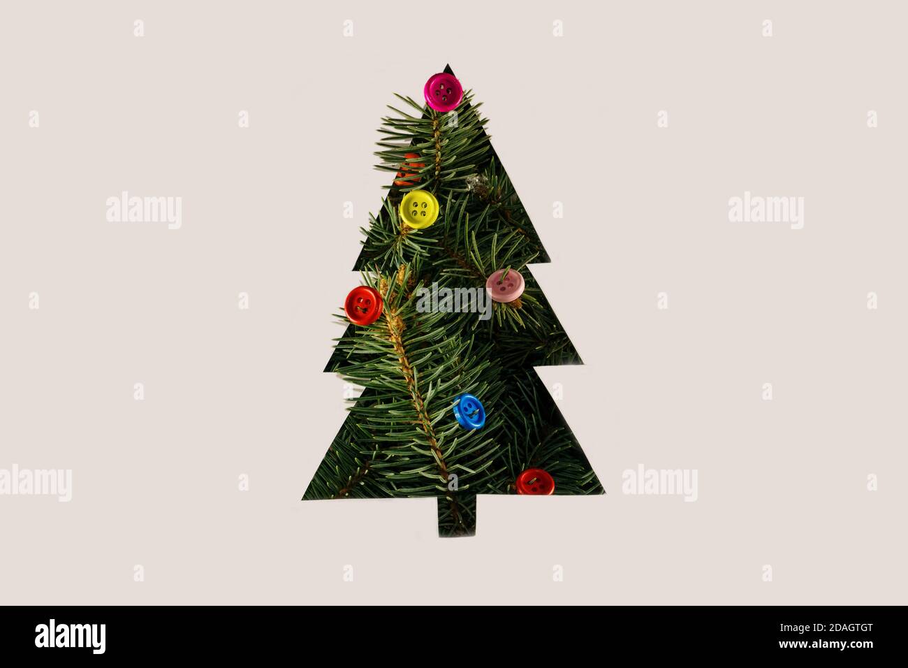 Negative space Christmas tree concept with Christmas tree branches and colorful buttons Stock Photo