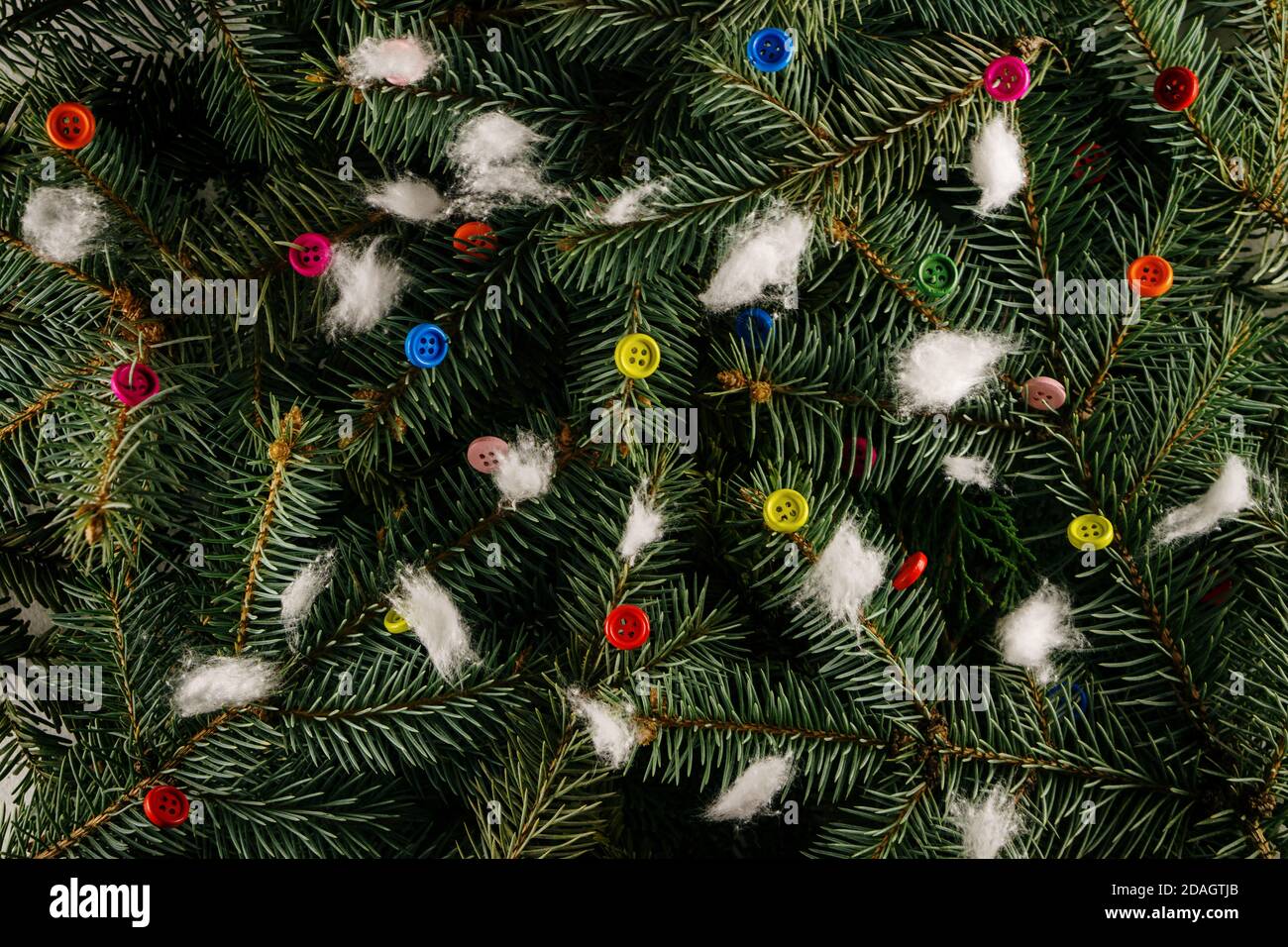 Layout made of Christmas tree branches with colorful buttons. Nature New Year concept. Stock Photo