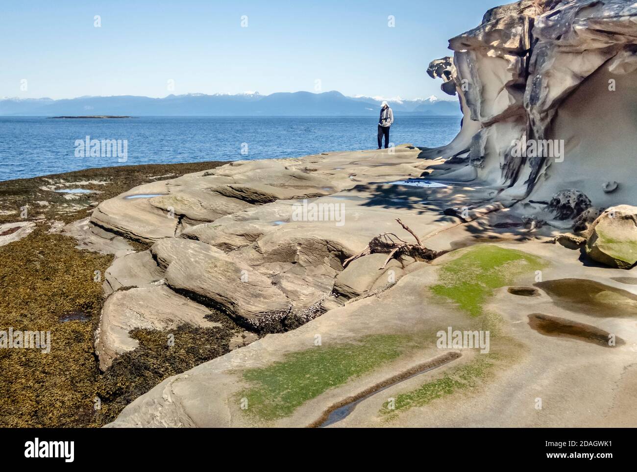 On a sunny day at low tide, a man walks on an eroded sandstone island shore, with the Strait of Georgia and BC's Coast Mountains in the background. Stock Photo