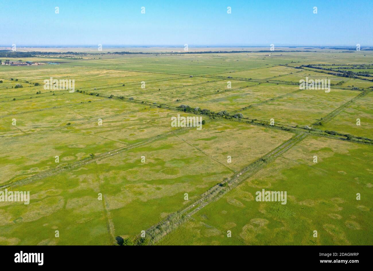 puszta southwest of Hortobagy, aerial view, Hungary, Hajdu-Bihar, Hortobagy National Park Stock Photo