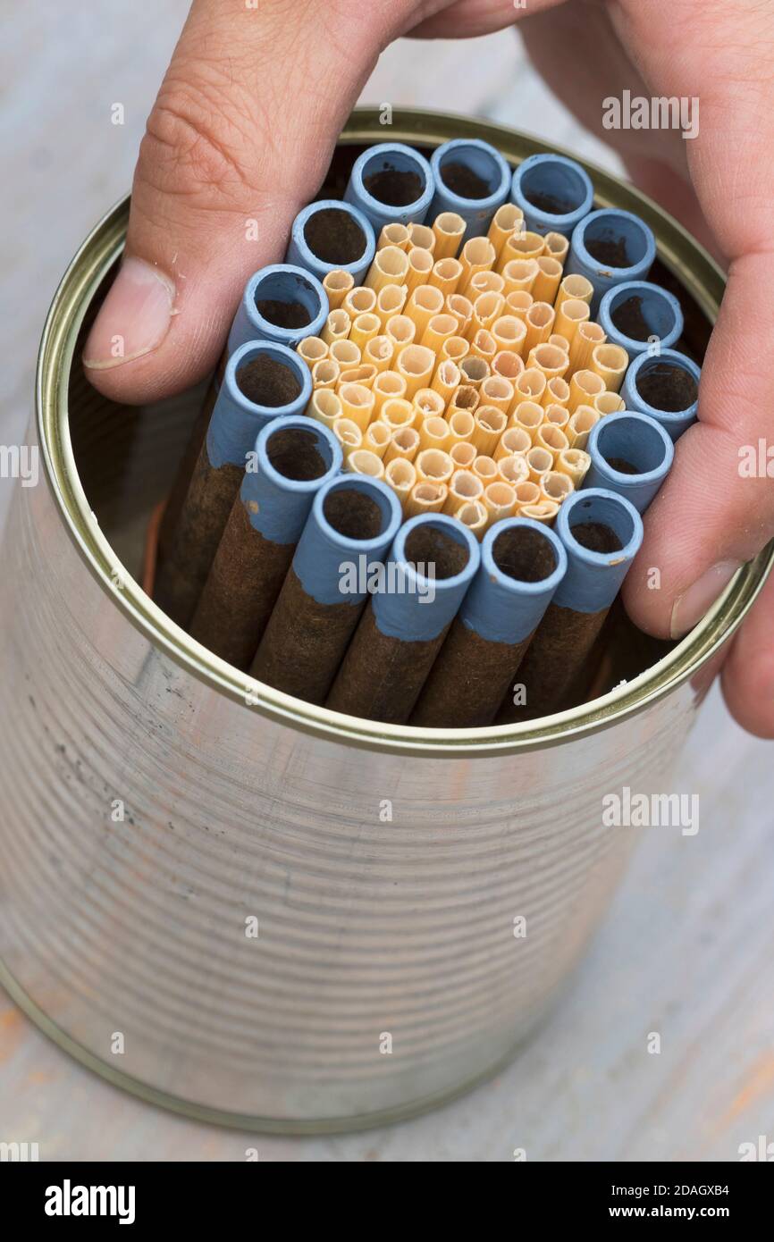 Cardboard tube hi-res stock photography and images - Alamy