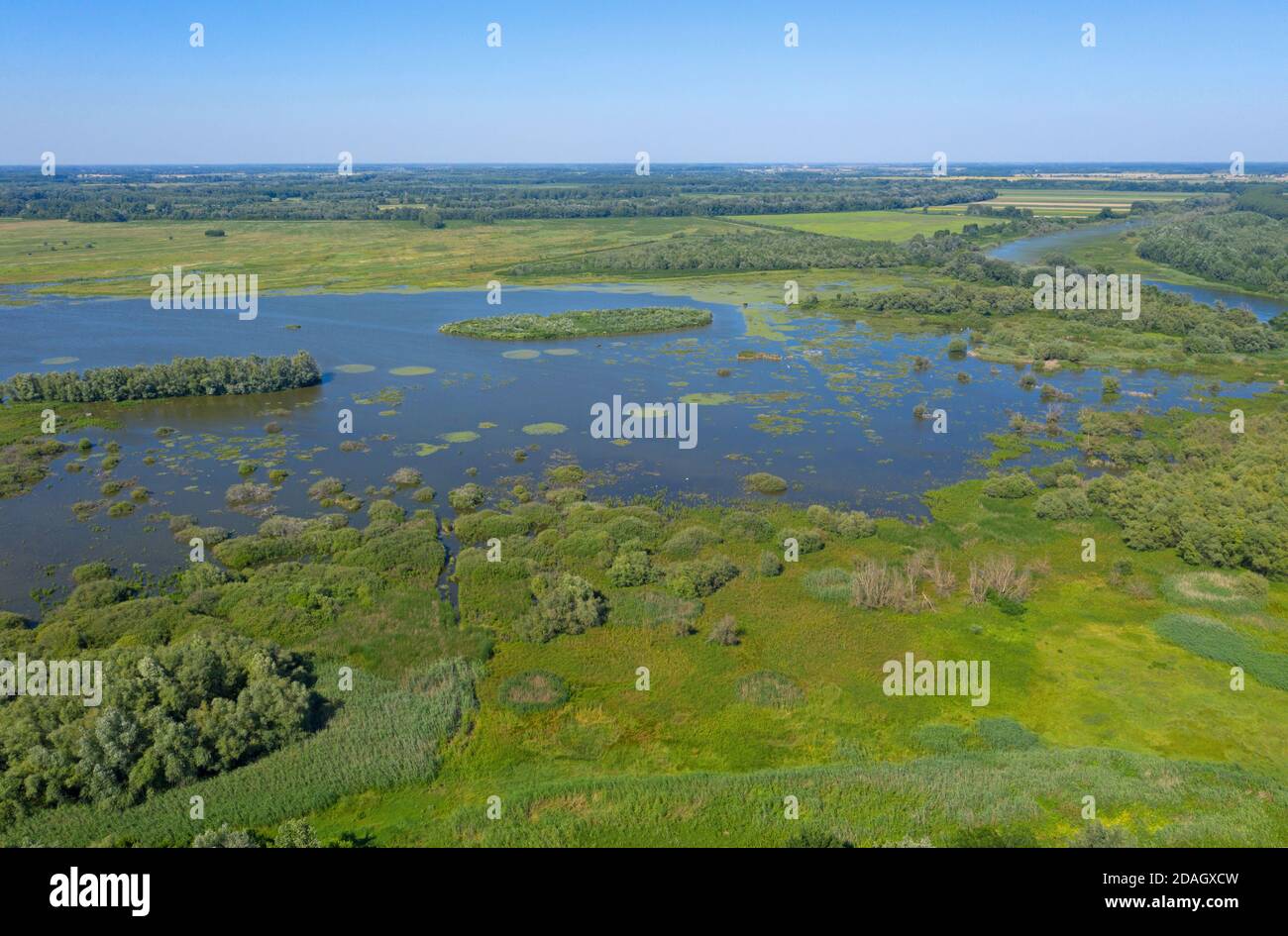 Lake Tiszaalpar, view from church hill, aerial view, Hungary, Bacs-Kiskun Stock Photo