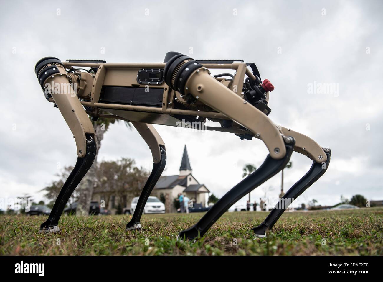A U.S. Air Force Ghost Q-UGV unmanned ground vehicle known as the robotic dog, is tested at Tyndall Air Force Base November 10, 2020 in Panama City, Florida. Tyndall is one of the first military bases to add the semi-autonomous UGV into their security patrol. Stock Photo
