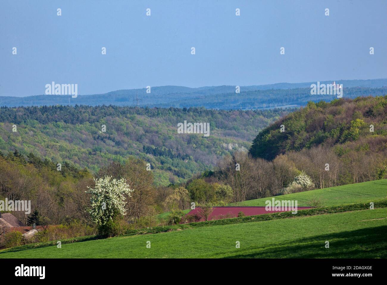 Franconian Switzerland, landscape near Bamberg, Germany, Bavaria, Upper Franconia, Oberfranken Stock Photo
