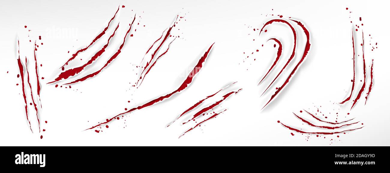 Cat claw scratches with blood drops, red torn slashes from wild animal, tiger, bear or lion paws isolated on white background. Vector realistic sharp talons marks, wounds with bloody splatter Stock Vector