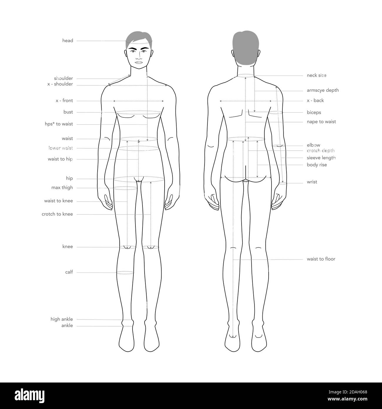 Men Body Parts Terminology Measurements Illustration For Clothes And Accessories Production Fashion Male Size Chart 9 Head Boy For Site And Online Shop Human Body Infographic Template Stock Vector Image Art