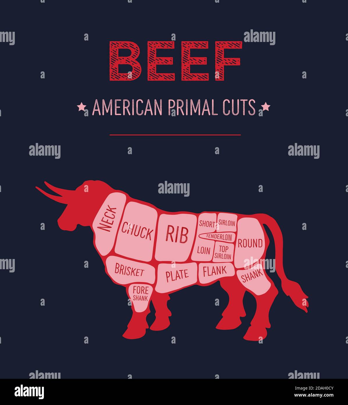 Vector illustration of American primal beef meat cuts diagram, US scheme for butcher shop Stock Vector