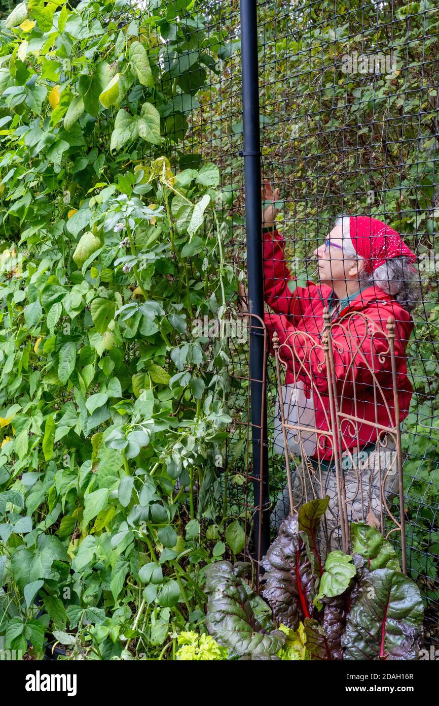 Page 2 Mr Bean S High Resolution Stock Photography And Images Alamy