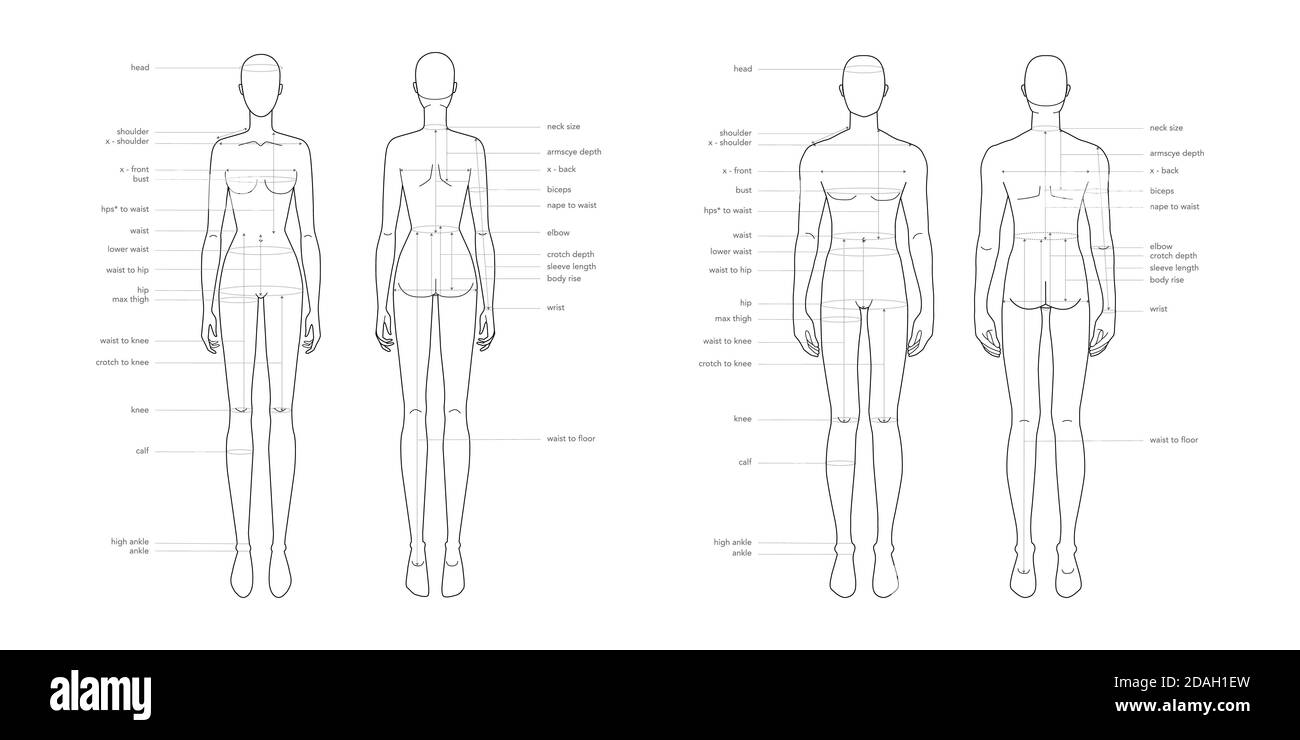 Men and women body parts terminology measurements Illustration for clothes and accessories production fashion 9 head male and female size chart. Human body infographic template Stock Vector