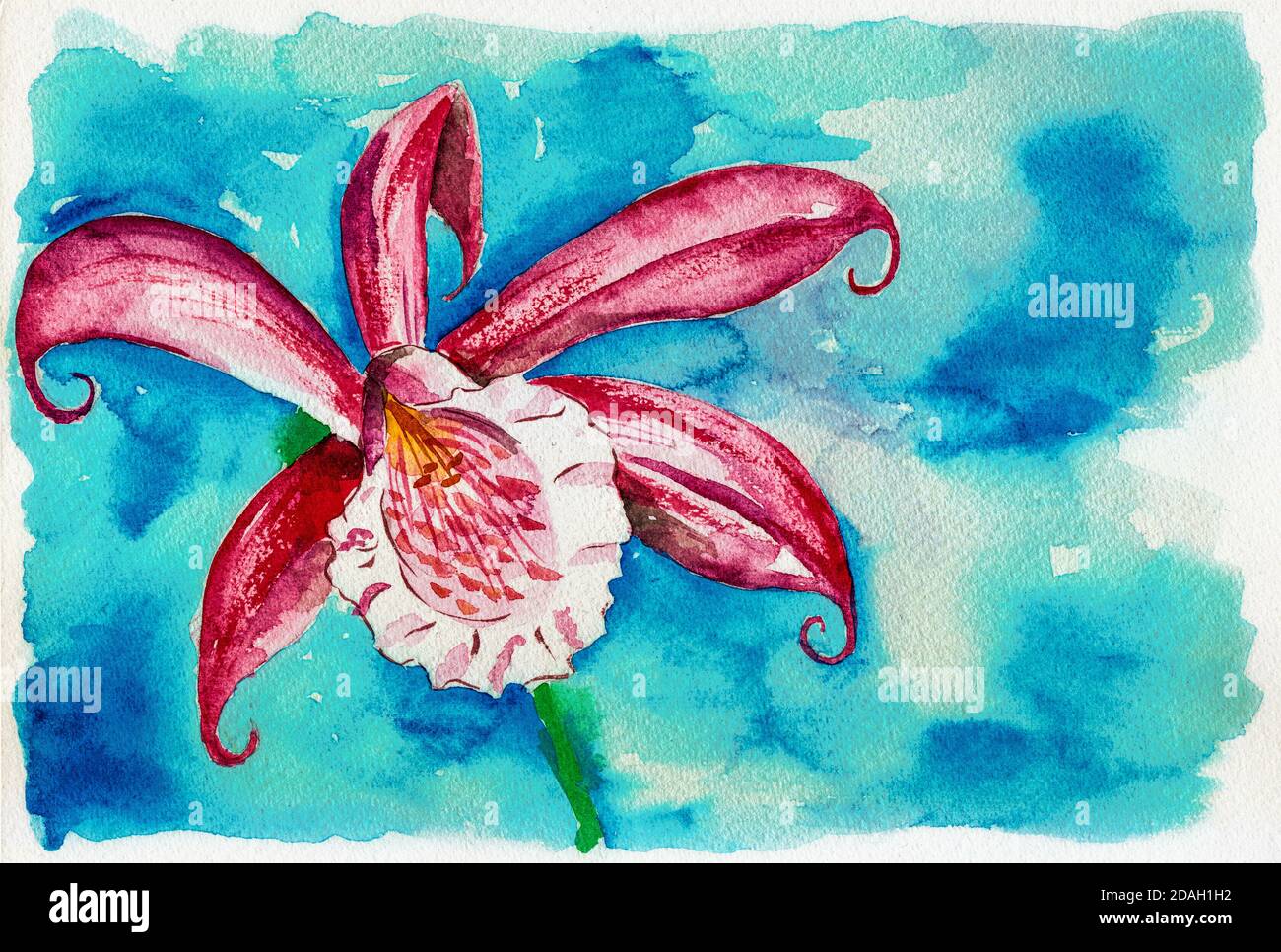 Portrayal Of A Pink Lily Flower In Light Blue Background Watercolor Painting Stock Photo Alamy